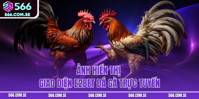Ảnh hiển thị giao diện E2Bet Đá Gà trực tuyến