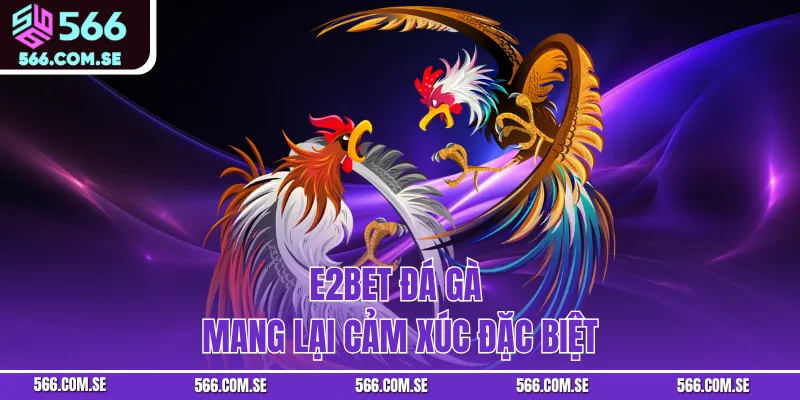 E2Bet Đá Gà mang lại cảm xúc đặc biệt