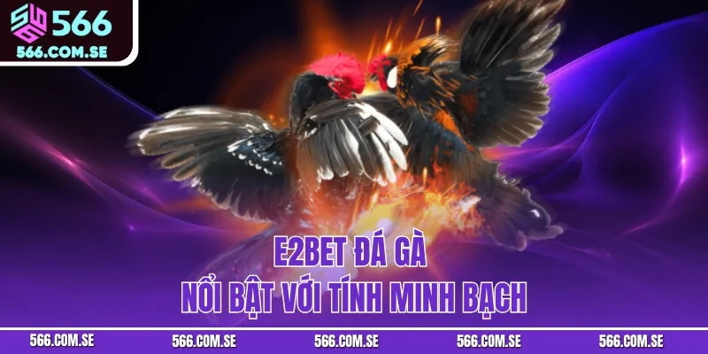 E2Bet Đá Gà nổi bật với tính minh bạch