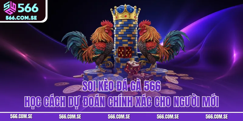 Soi Kèo Đá Gà 566 - Học Cách Dự Đoán Chính Xác Cho Người Mới