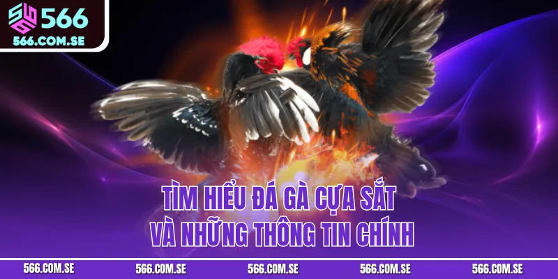 Tìm hiểu đá gà cựa sắt và những thông tin chính